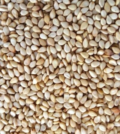 Nuvvu Pappu (250gms)
